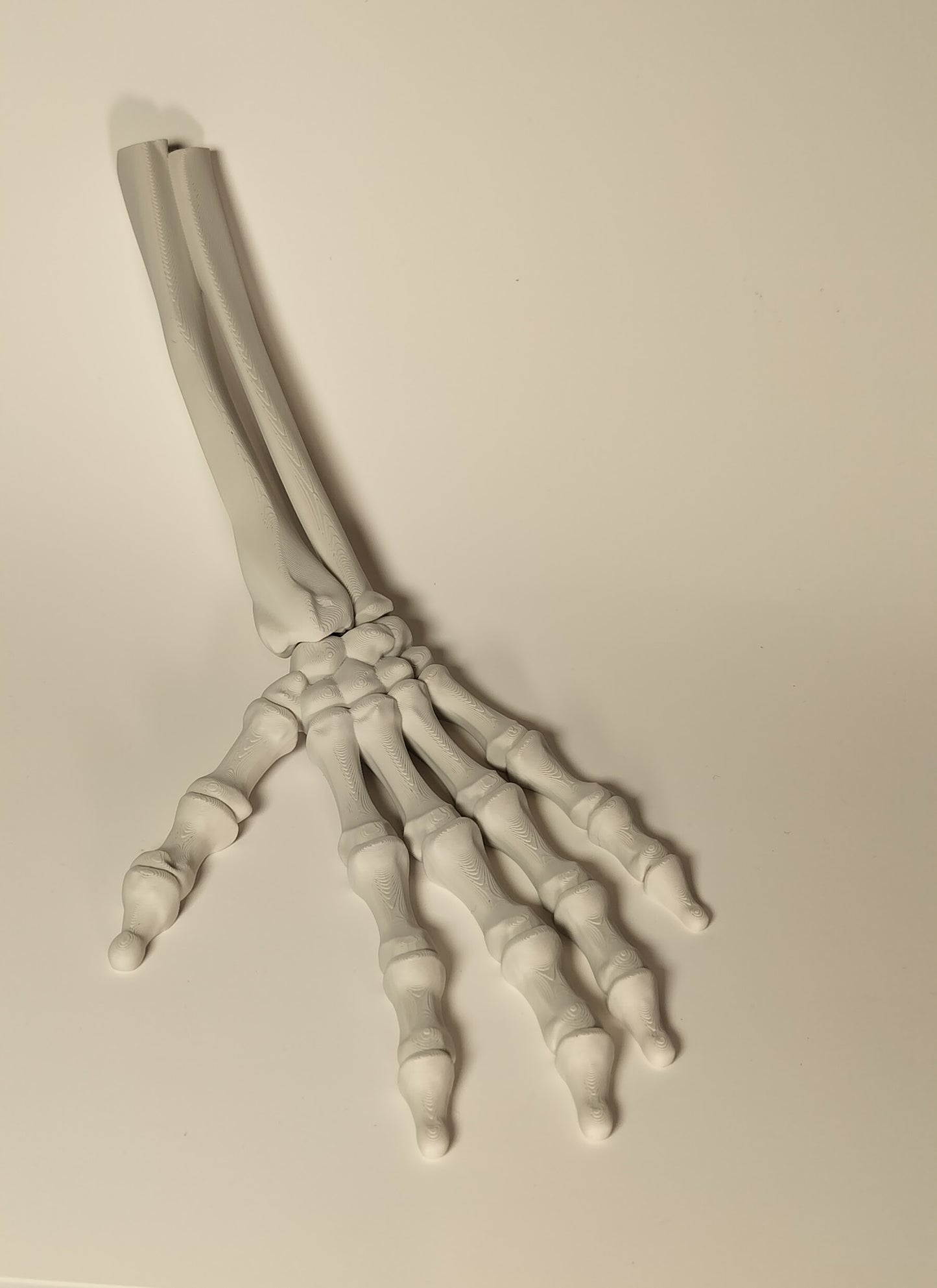 Articulated Skeleton Hand - Fun Halloween decoration/fidget