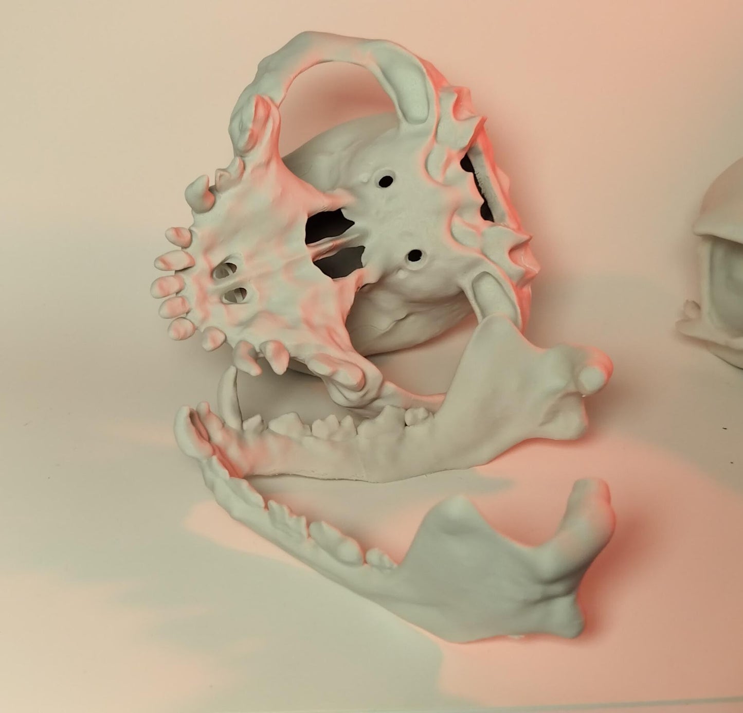 Pug Skull - 3D Printed dog skull