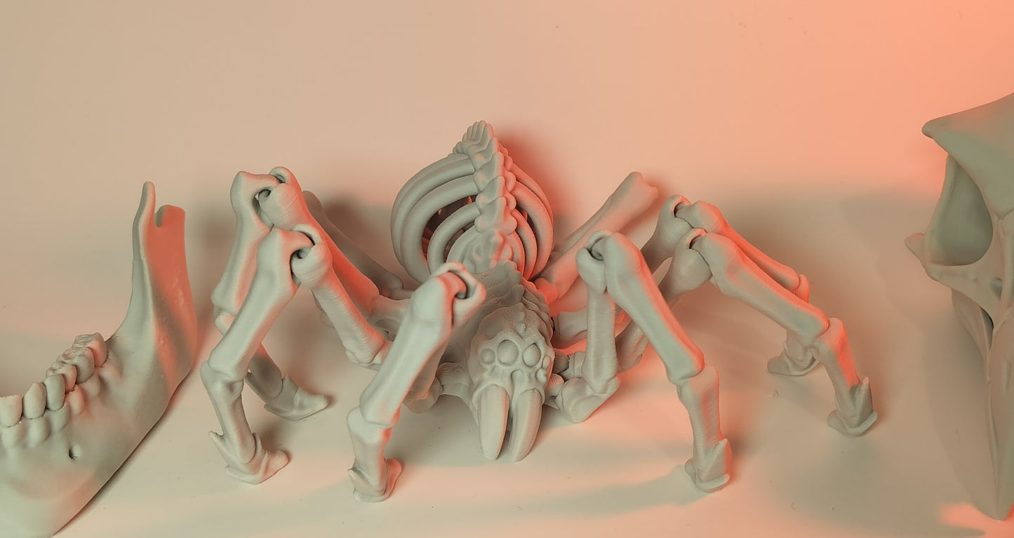 Spooky SPIDER skeleton fidget toy