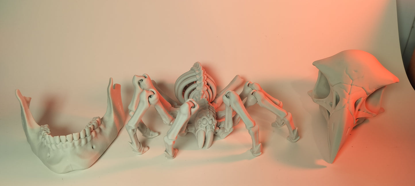 Spooky SPIDER skeleton fidget toy