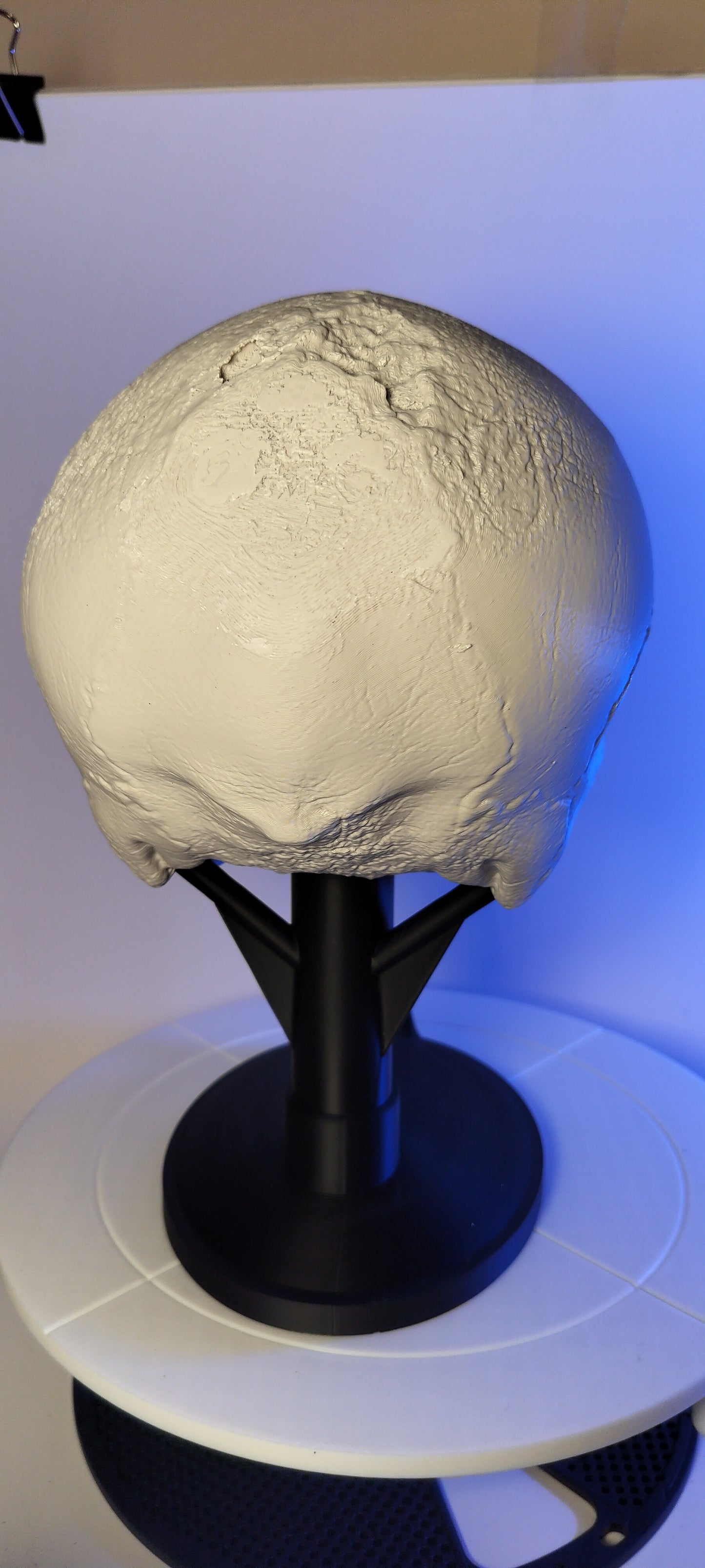 vampire skull - 3D Print