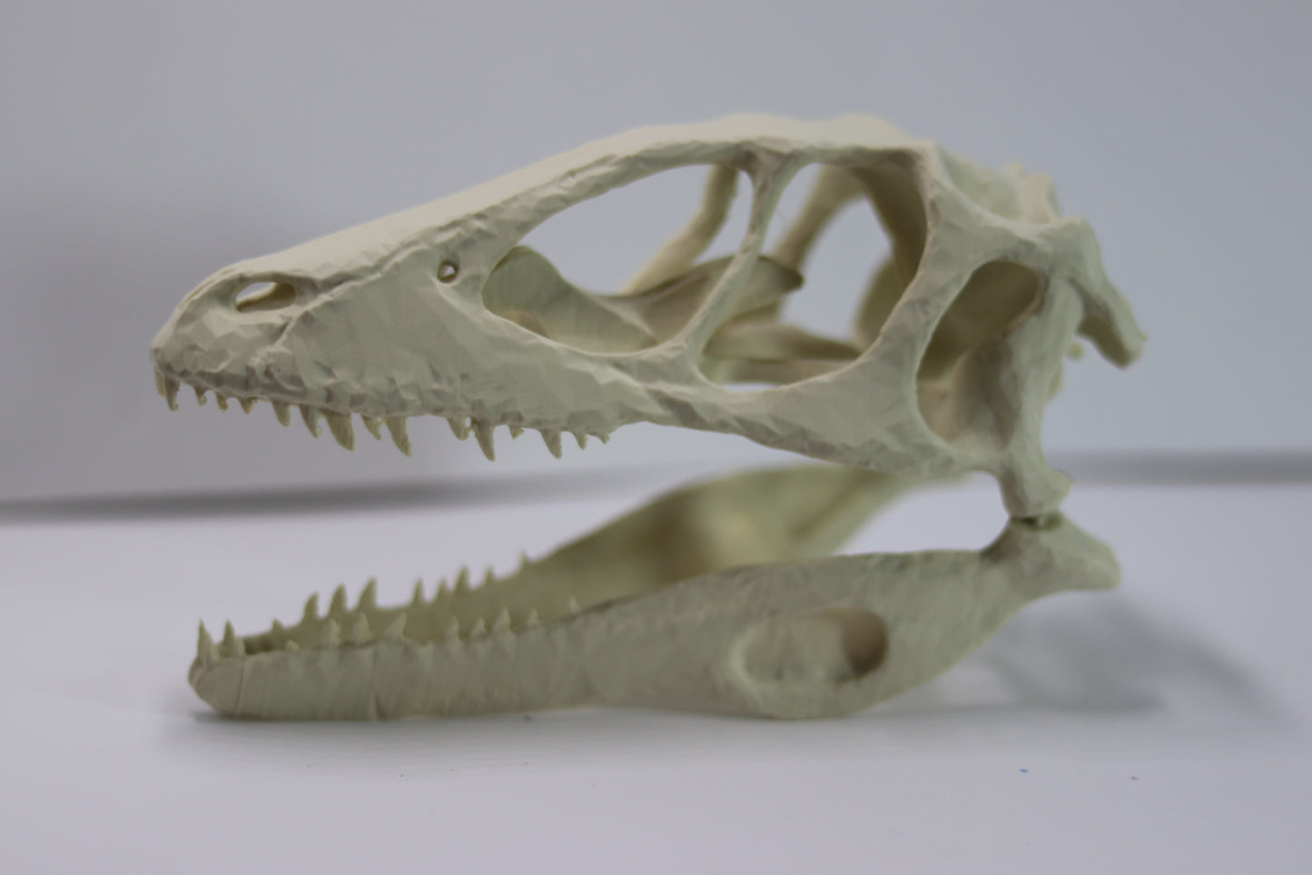 Deinonychus Skull - Low Polygon