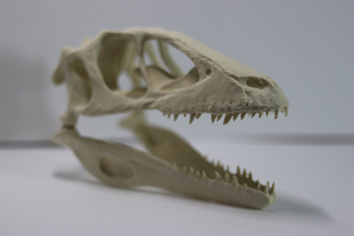 Deinonychus Skull - Low Polygon