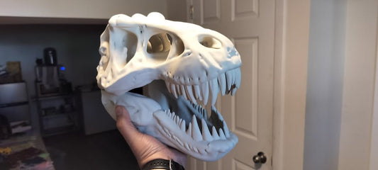 T-Rex Skull