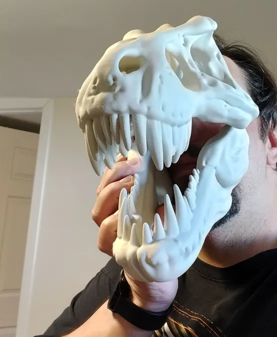 T-Rex Skull