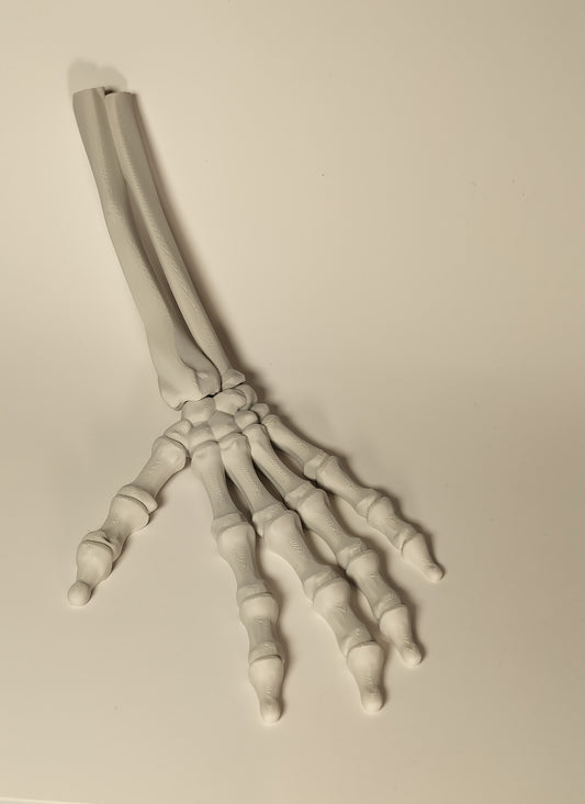Articulated Skeleton Hand - Fun Halloween decoration/fidget