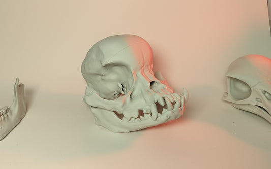 Pug Skull - 3D Printed dog skull