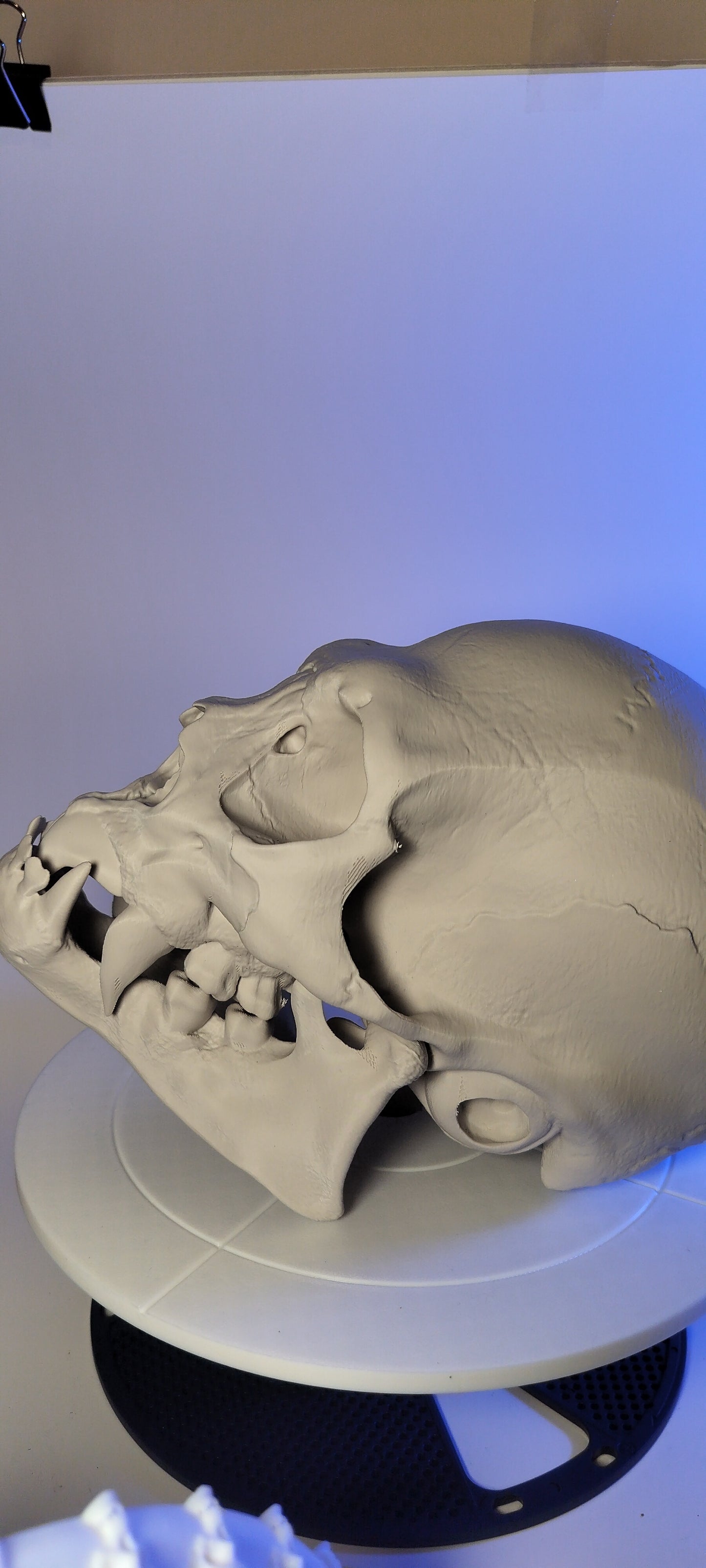 vampire skull - 3D Print