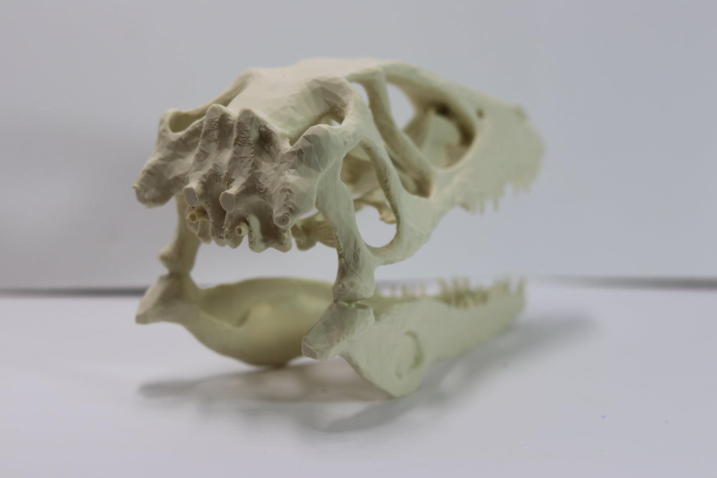 Deinonychus Skull - Low Polygon