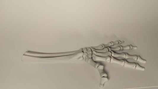 Articulated Skeleton Hand - Fun Halloween decoration/fidget