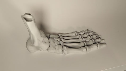 Articulated Skeleton Foot - Fun Halloween decoration/fidget